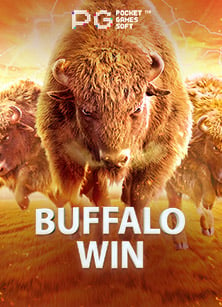 เค ดิ ต ฟรี 88แทง บอล ที่ ดี ที่สุด สนุกสุดมันส์